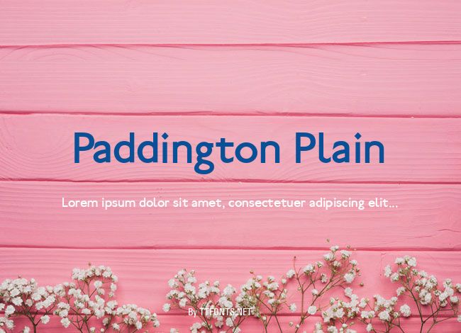 Paddington Plain example